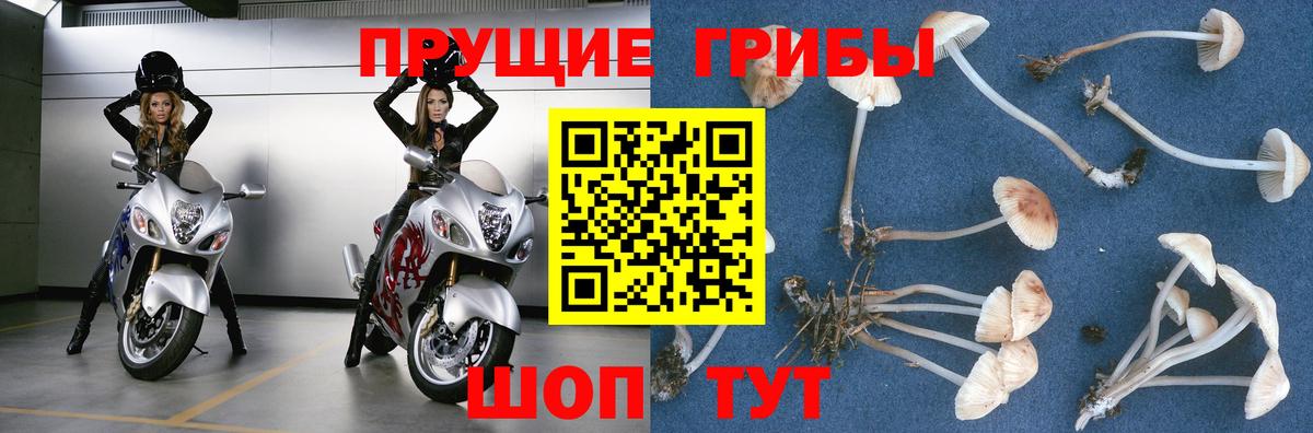 Галлюциногенные грибы MAGIC MUSHROOMS Выкса