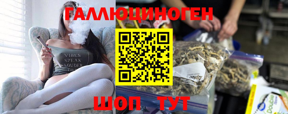 Выкса  Псилоцибиновые грибы прущие грибы  Вход с VPN 